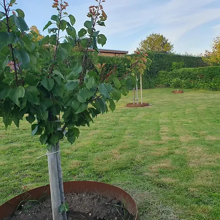 Gasthof House In Munkebo